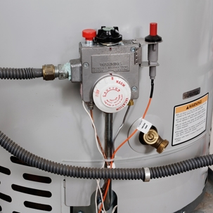 Impact of Michigan's Water Quality on Water Heater Performance